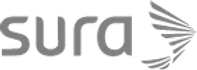 Seguros Sura - Respaldo