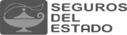 Seguros del Estado
